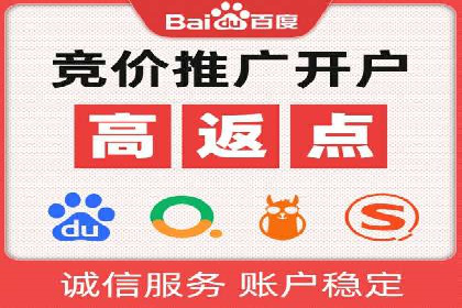 SEM服务公司成功案例解读