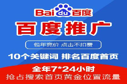 实战技巧：竞价推广案例解析与效果评估